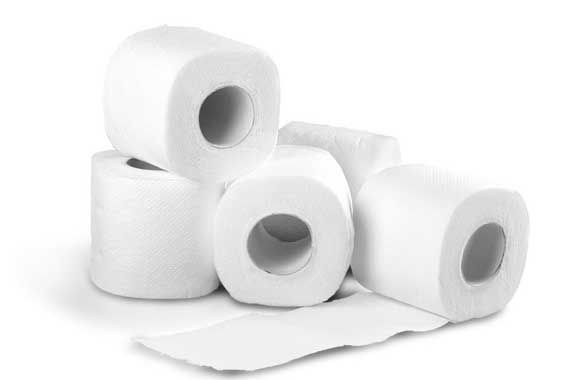 Des rouleaux de papier de toilette
