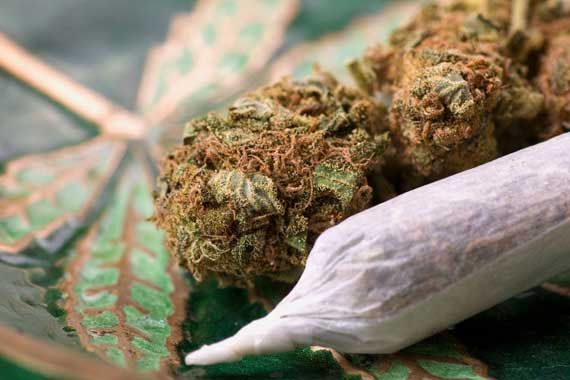 Un joint de cannabis.