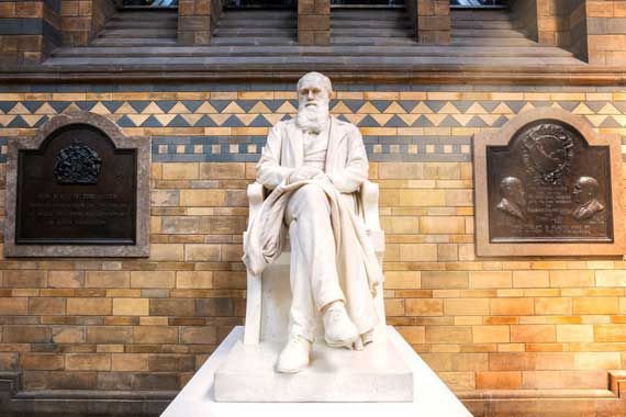 Une statue de Charles Darwin